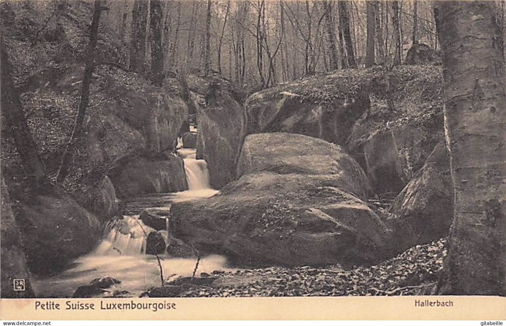 Luxembourg - HALLERBACH - Petite Suisse Luxembourgeoise - Sonstige & Ohne Zuordnung