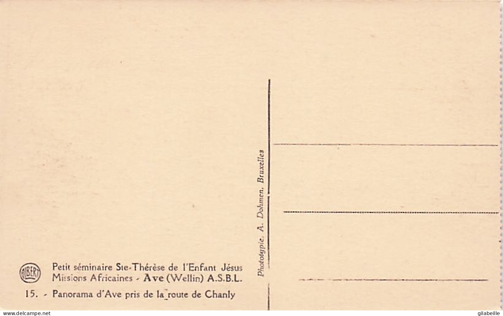 AVE - WELLIN - Petit Seminaire Ste Therese De L'enfant Jésus  -panorama D'Ave Pris De La Route De Chanly - Wellin