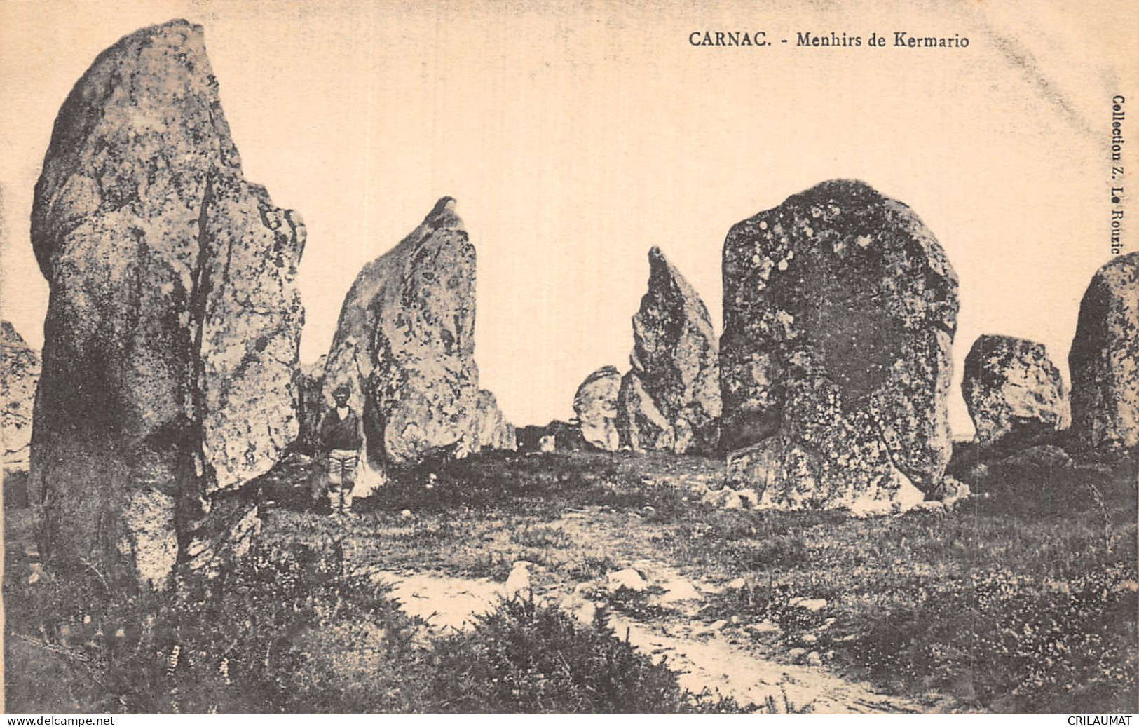 56-CARNAC-N°LP5127-C/0113 - Carnac