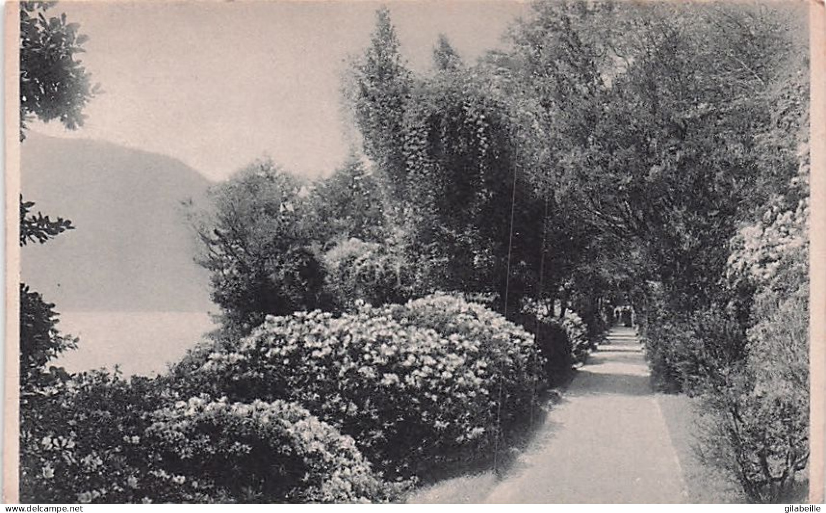 Lago Di Como - Villa Carlotta  - Set Di 3 Cartoline - Como