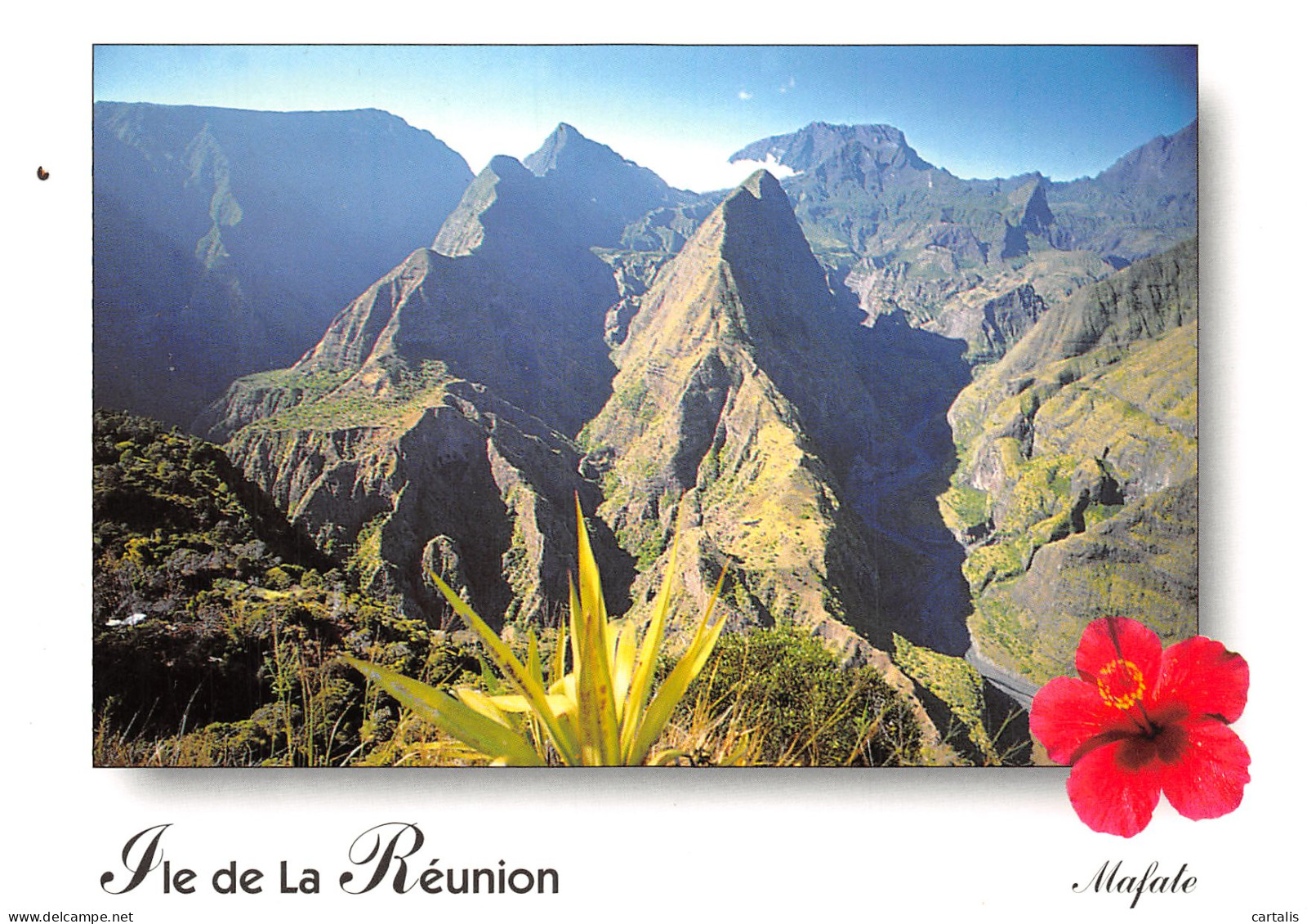 REU-ILE DE LA REUNION CIRQUE DE MAFATE -N°C4120-D/0179 - Otros & Sin Clasificación