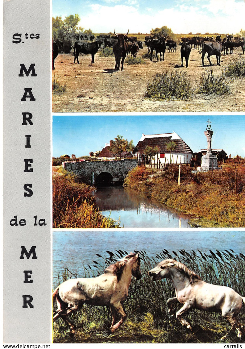 13-SAINTES MARIES DE LA MER-N°C4120-D/0125 - Saintes Maries De La Mer