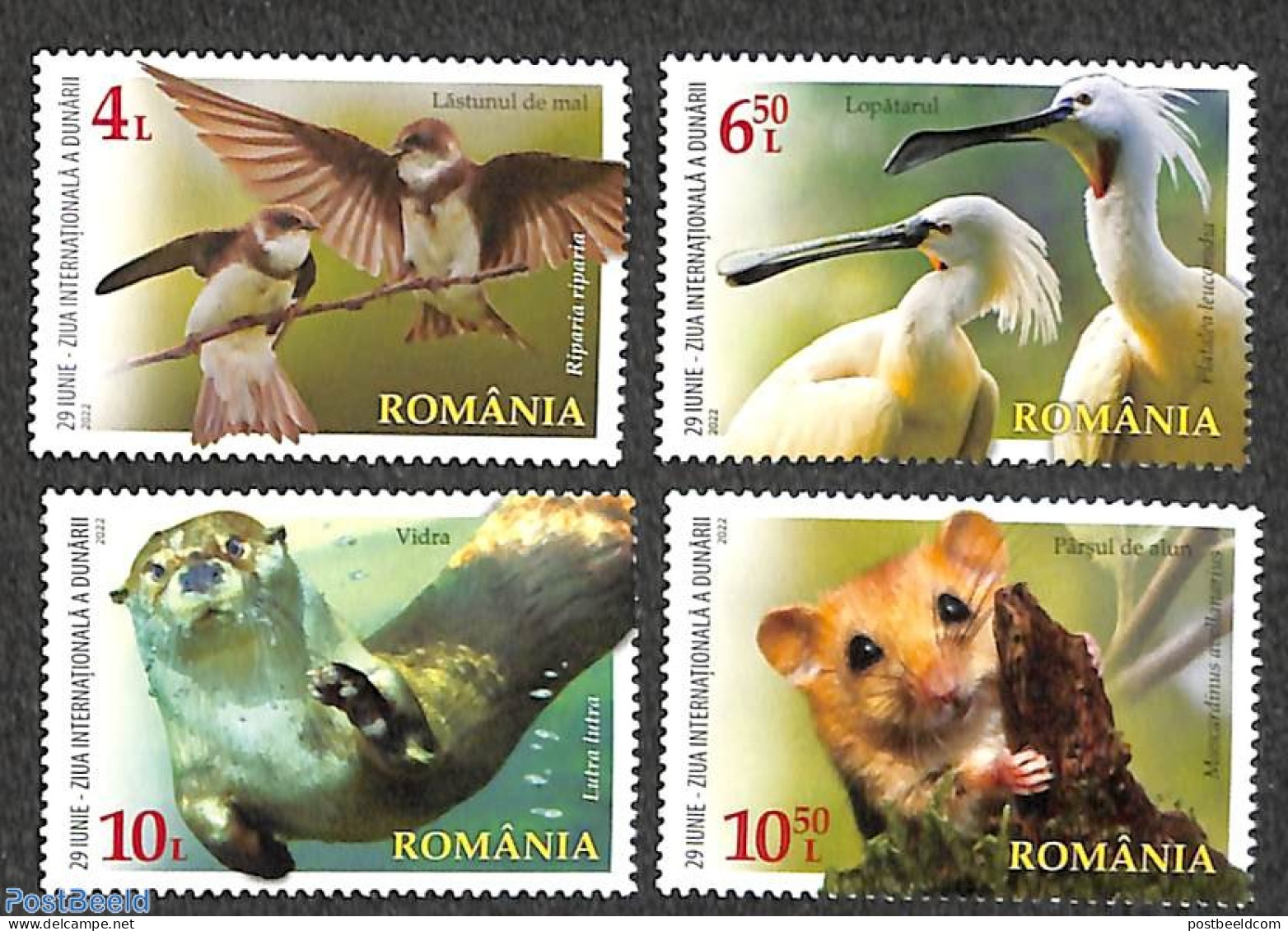 Romania 2022 Int. Danube Day 4v, Mint NH, Nature - Animals (others & Mixed) - Birds - Neufs