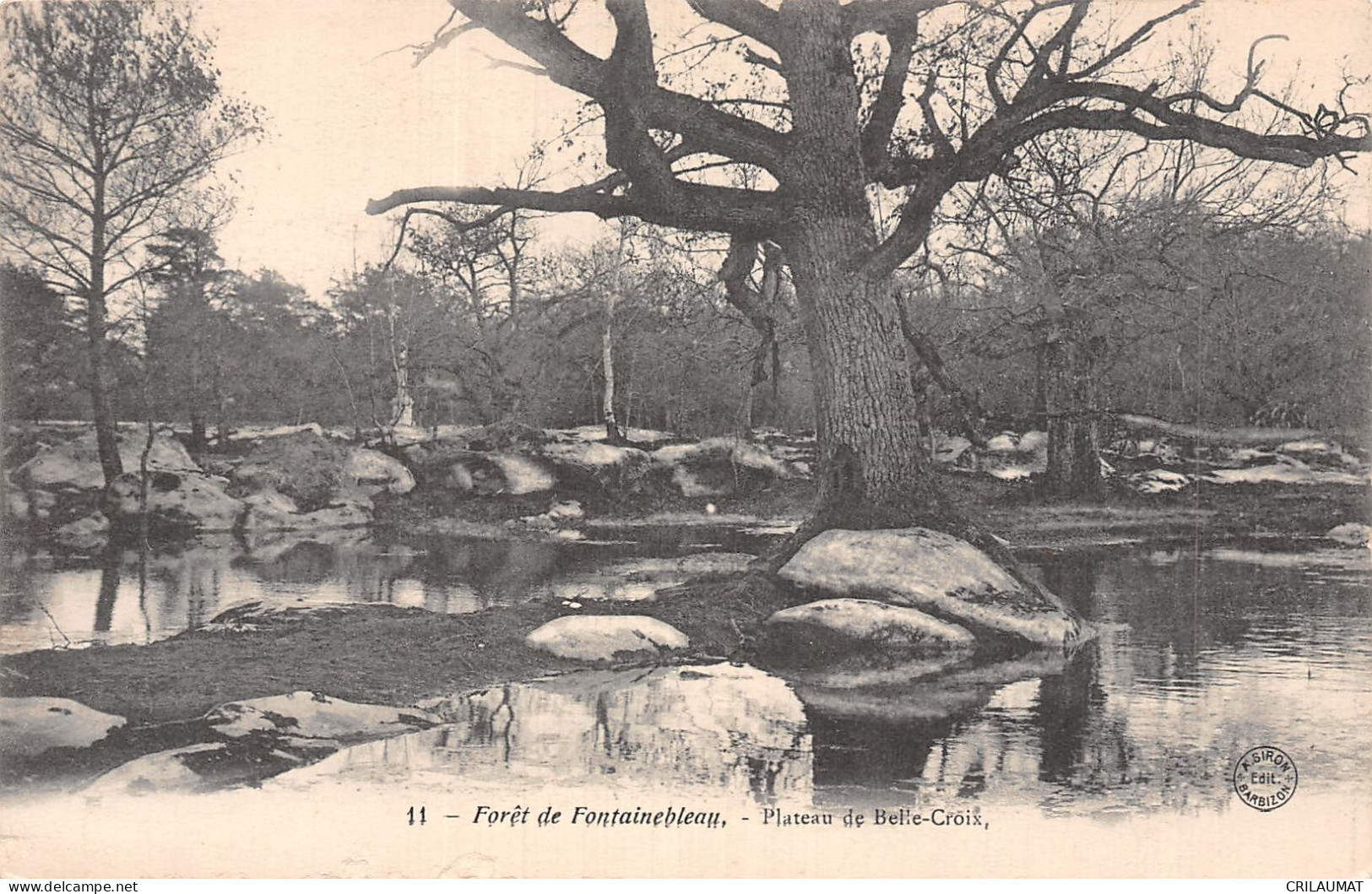 77-FONTAINEBLEAU LA FORET PLATEAU DE BELLE CROIX-N°LP5128-A/0293 - Fontainebleau