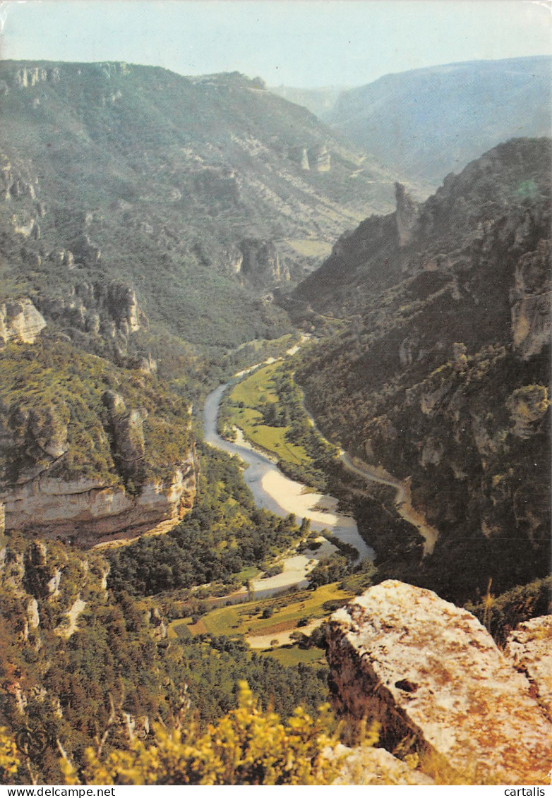 48-GORGES DU TARN POINT SUBLIME-N°C4123-C/0383 - Gorges Du Tarn