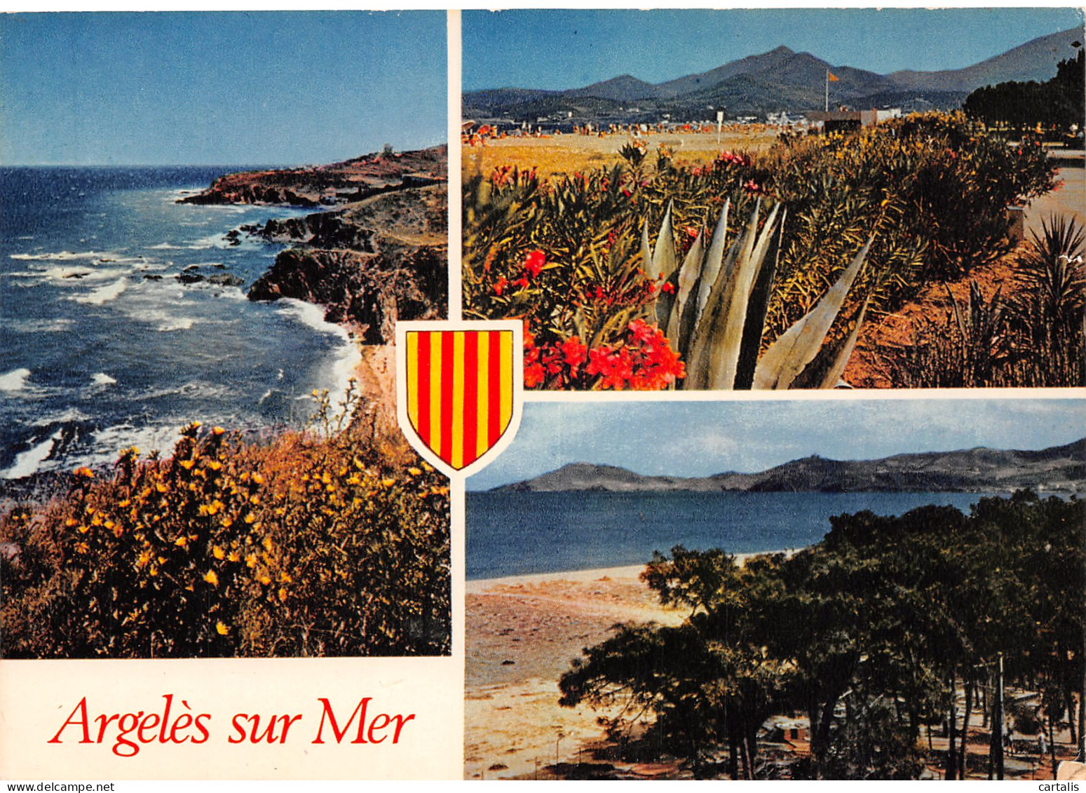 66-ARGELES SUR MER-N°C4124-D/0177 - Argeles Sur Mer