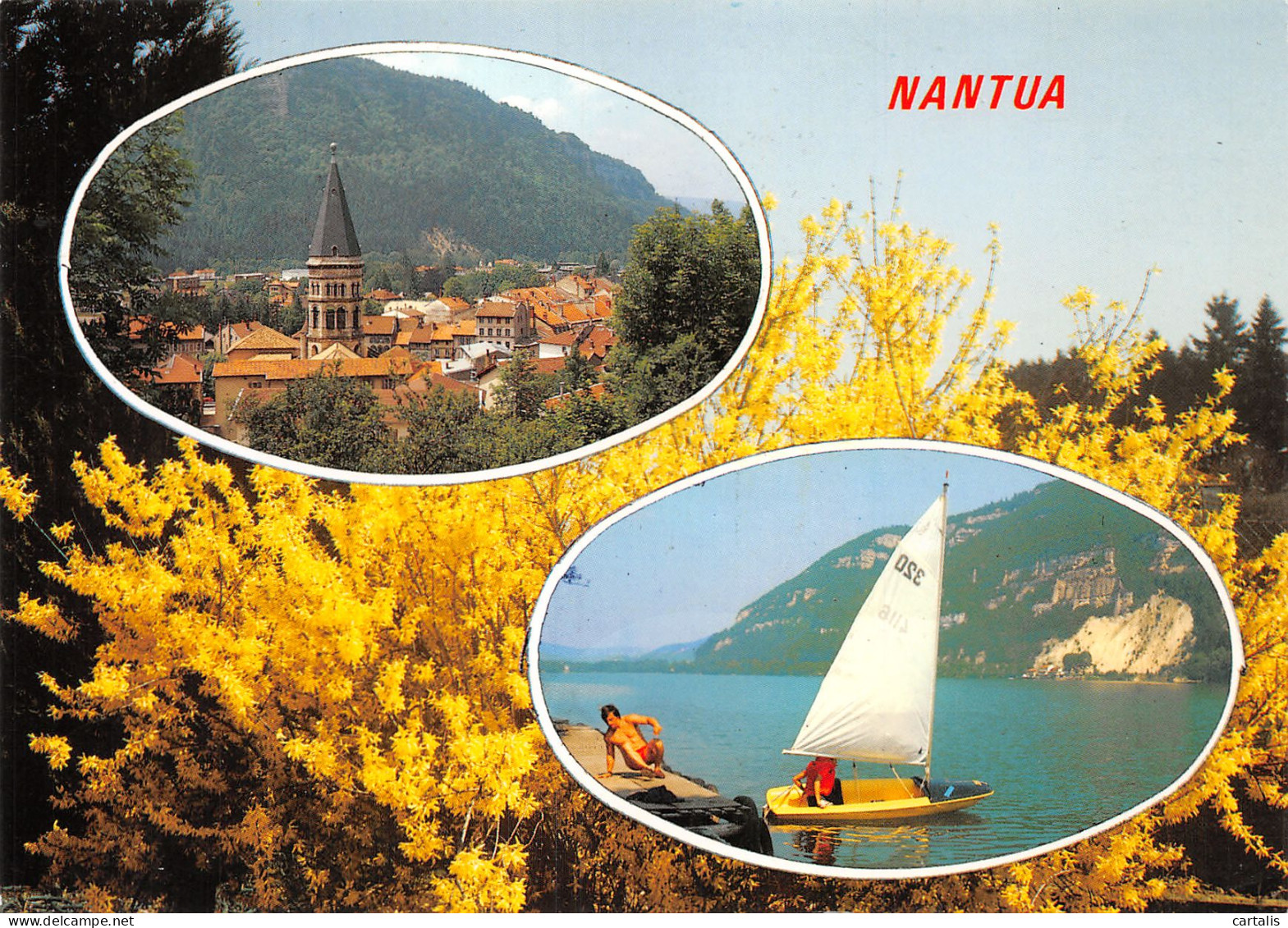 01-NANTUA-N°C4124-C/0237 - Nantua