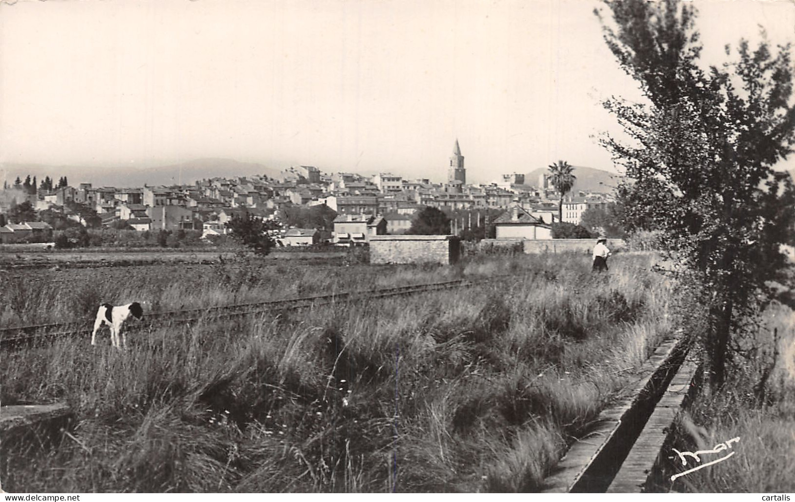 83-FREJUS-N°C4127-E/0223 - Frejus