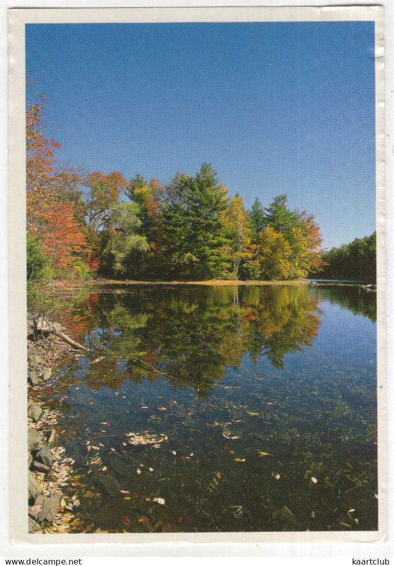 Ontario - Buck Lake Bei Westport - (Canada) - Other & Unclassified