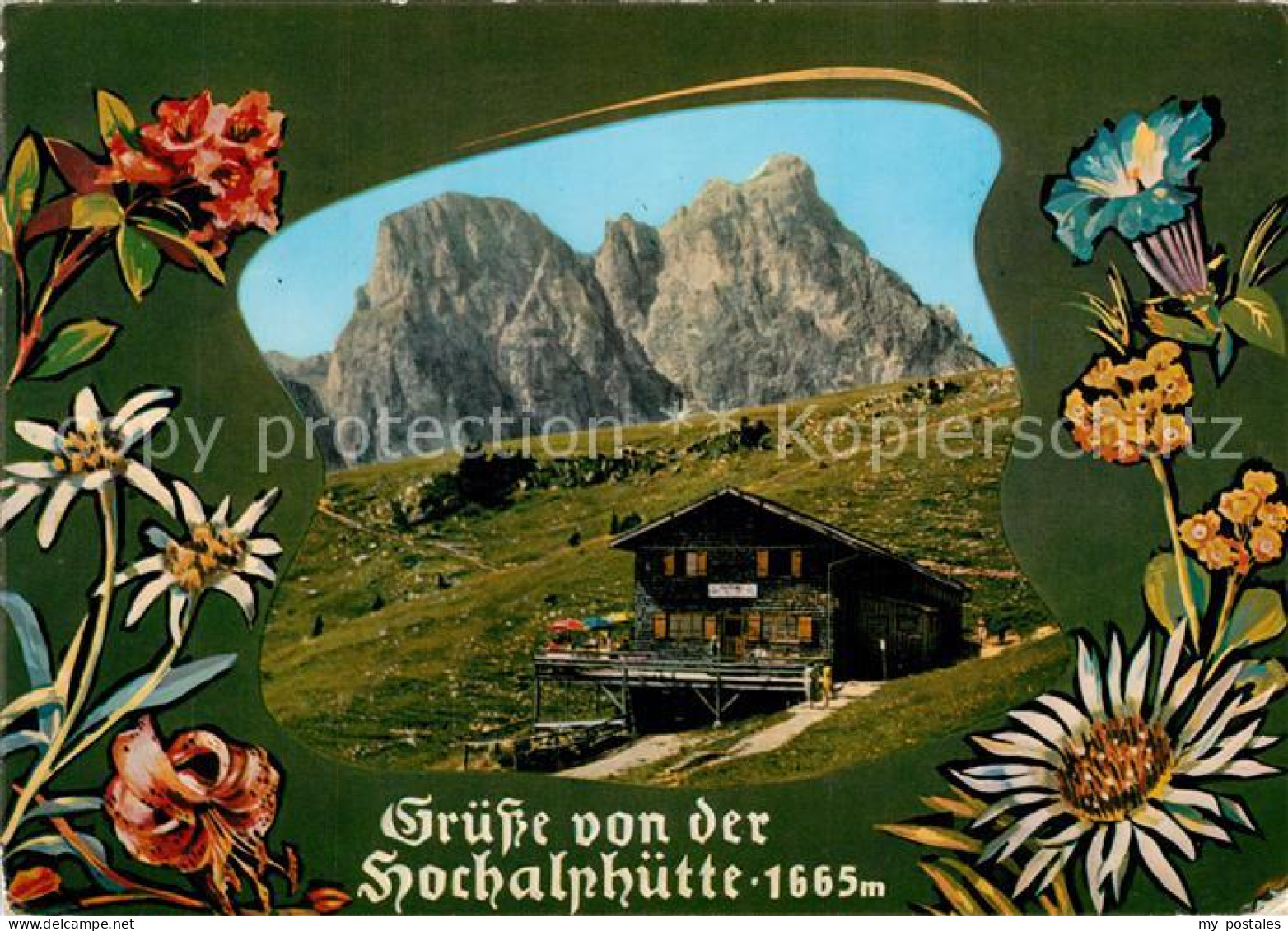 73311183 Pfronten Hochalphuette Mit Aggenstein Allgaeuer Alpen Blumen Pfronten - Pfronten