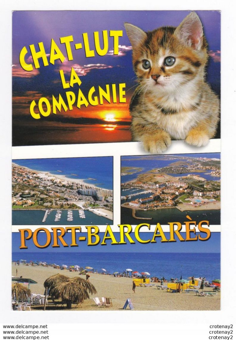 66 PORT BARCARES HUMOUR CHAT Lut La Compagnie éditions Estel En 2004 Photo S Vartabédian Willy's Beau Chat - Port Barcares
