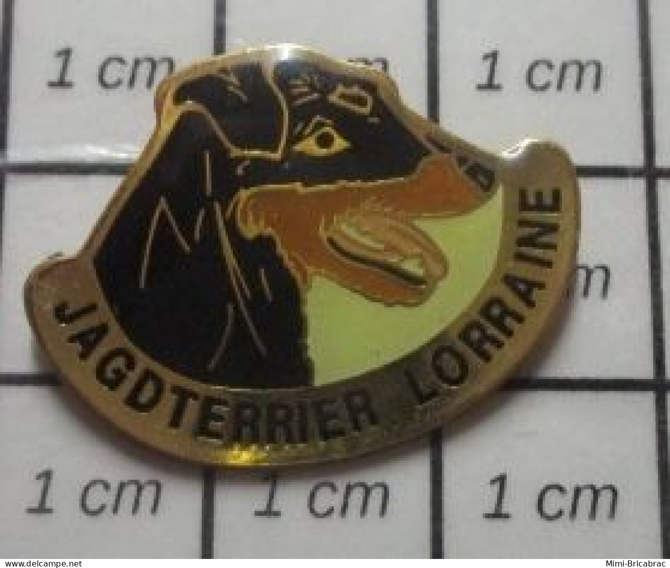 312B Pin's Pins / Beau Et Rare / ANIMAUX / CHIEN NOIR JAGDTERRIER LORRAINE - Tiere