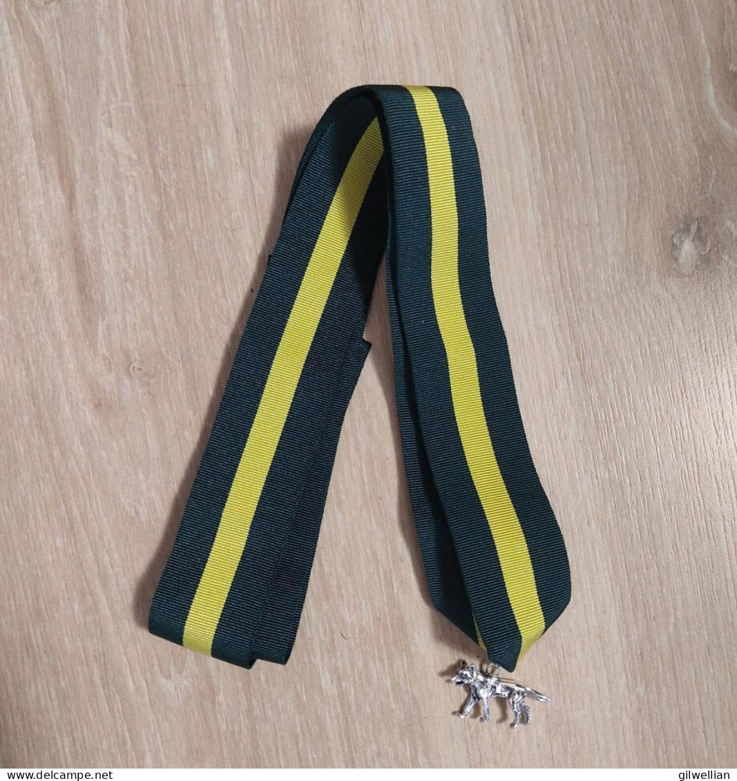 Boy Scout Silver Wolf Award / Sterling .925 / Small Version 31-33 Mm Badge - Grande-Bretagne