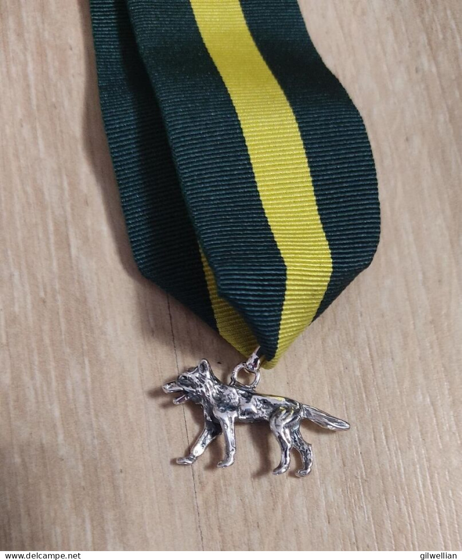 Boy Scout Silver Wolf Award / Sterling .925 / Small Version 31-33 Mm Badge - Gran Bretagna