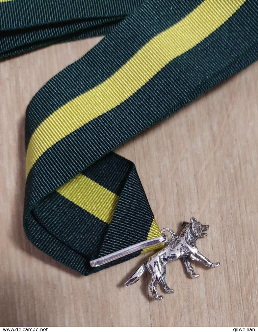 Boy Scout Silver Wolf Award / Sterling .925 / Small Version 31-33 Mm Badge - Gran Bretagna