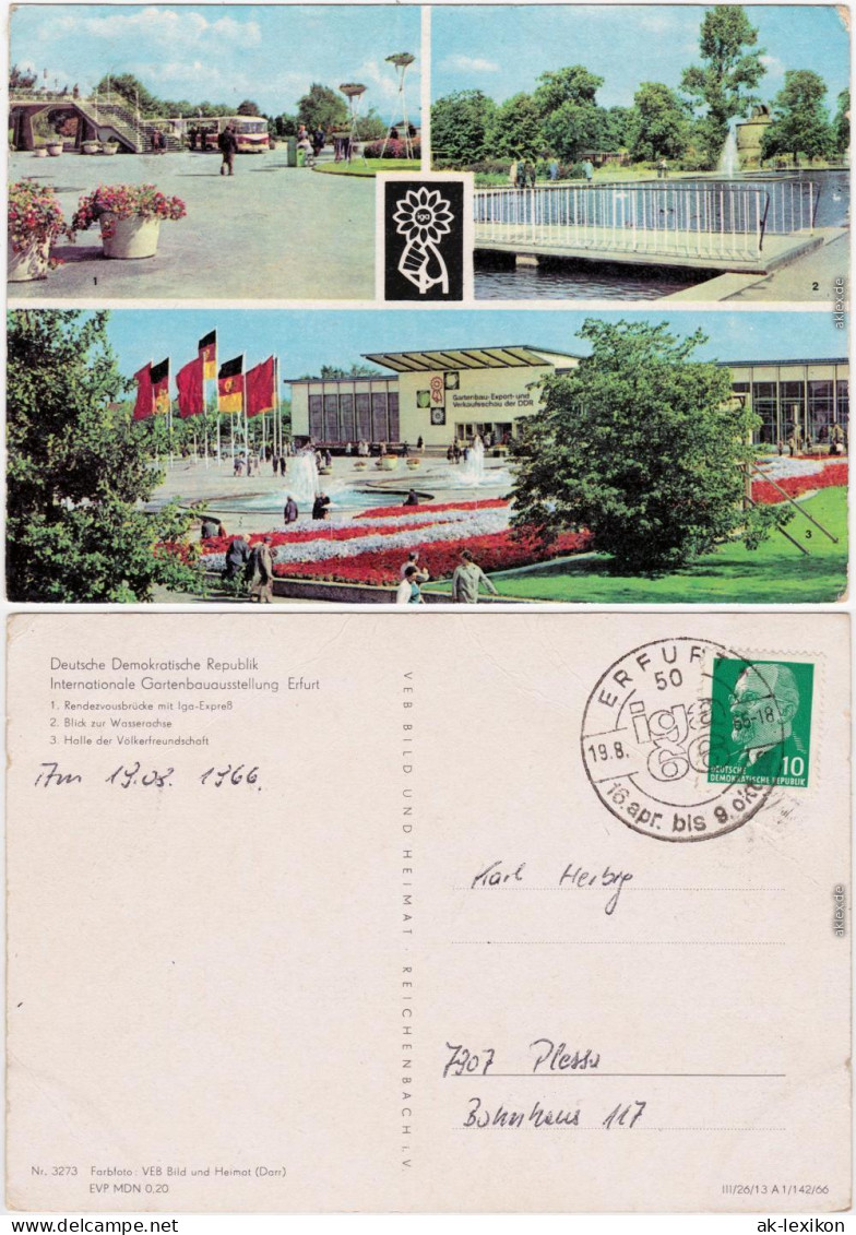 Erfurt Internationale Gartenbauausstellung IGA: Brücke, Wasserachse, Halle 1966 - Erfurt