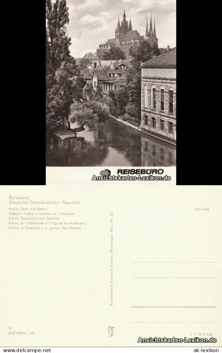 Ansichtskarte Erfurt Dom Und Severi 1966  - Erfurt