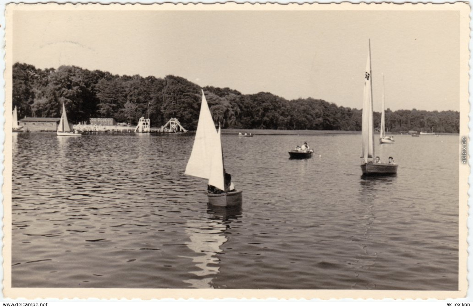 Bad Saarow Segel- Und Ruderboote Auf Dem Scharmützelsee 1955 - Bad Saarow