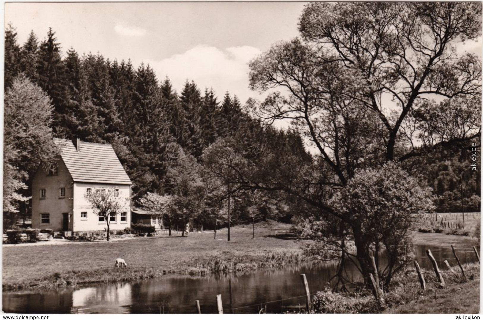 Ansichtskarte Radevormwald Wiebachhütte - Außenansicht Mit Teich 1962 - Radevormwald