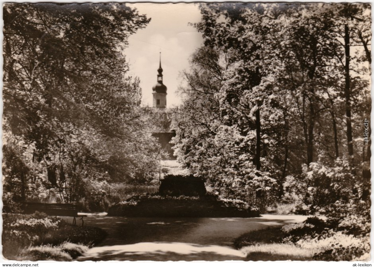 Riesa Stadtpark - Mittelweg Mit Blick Auf Die Kirche 1961  - Riesa