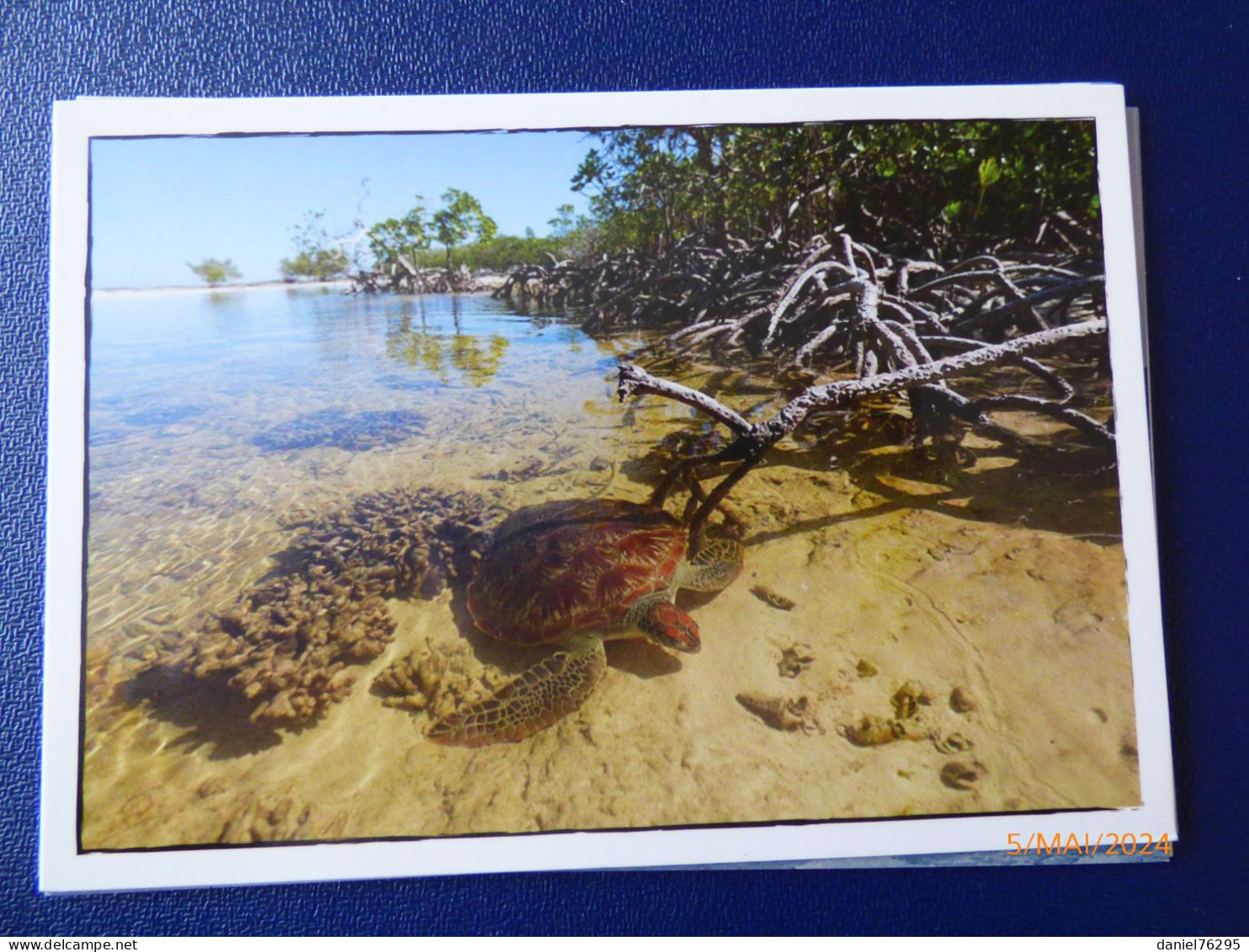 Cartes Postales Antarctique - Collections, Lots & Séries