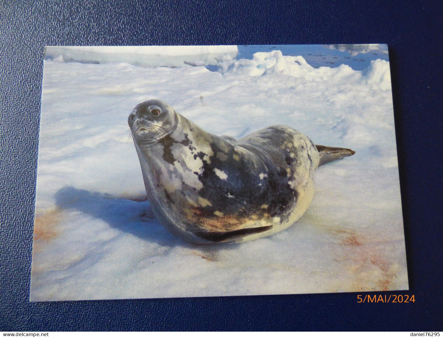 Cartes Postales Antarctique - Collections, Lots & Series