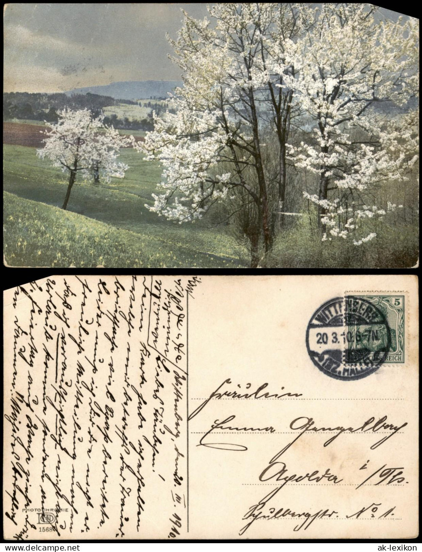 Ansichtskarte  Stimmungsbild: Frühling, Baumblüte, Felder, Wolken 1910 - Other & Unclassified