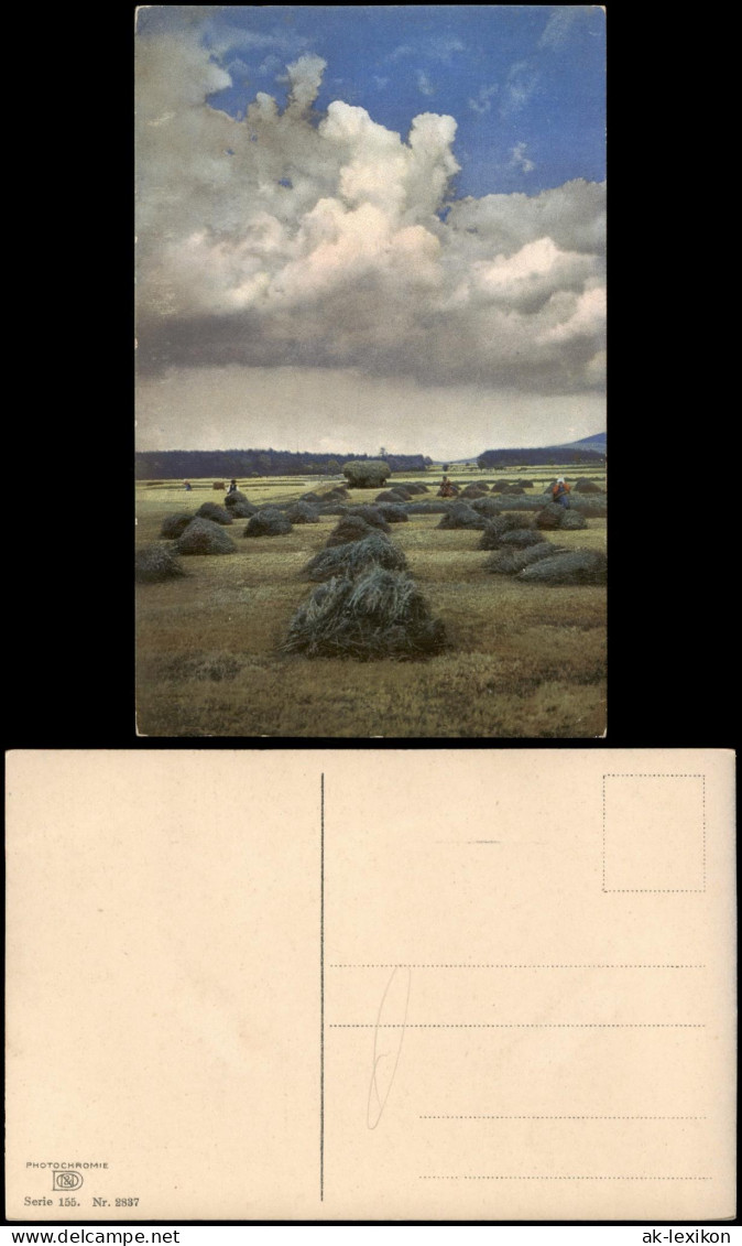 Ansichtskarte  Stimmungsbild: Bauern Auf Dem Feld Wolken Heugarben 1912 - Bauern