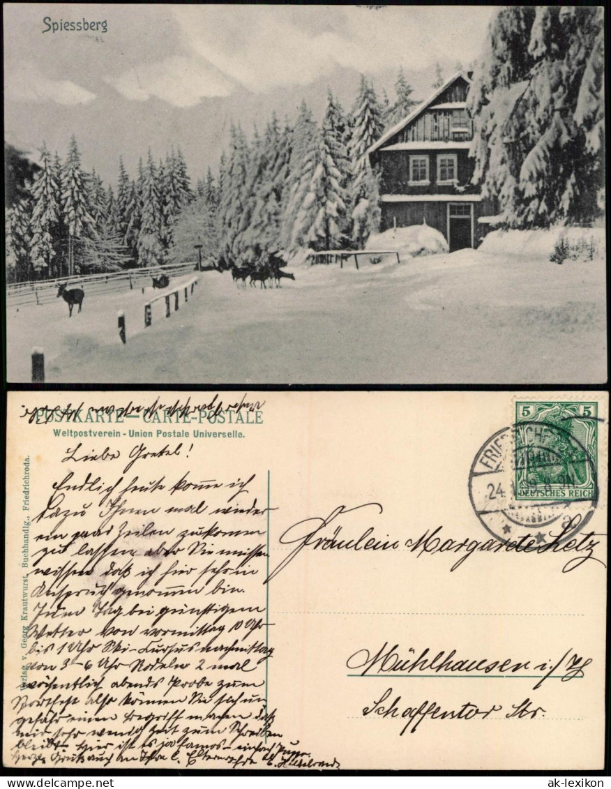 Ansichtskarte Friedrichroda Spiessberg-Hotel Im Winter Rehe 1909 - Friedrichroda