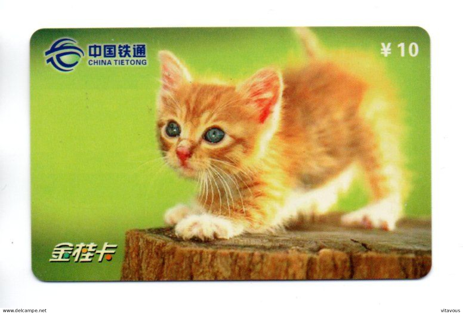 Chat Cat Télécarte Chine Phonecard (K 324) - China