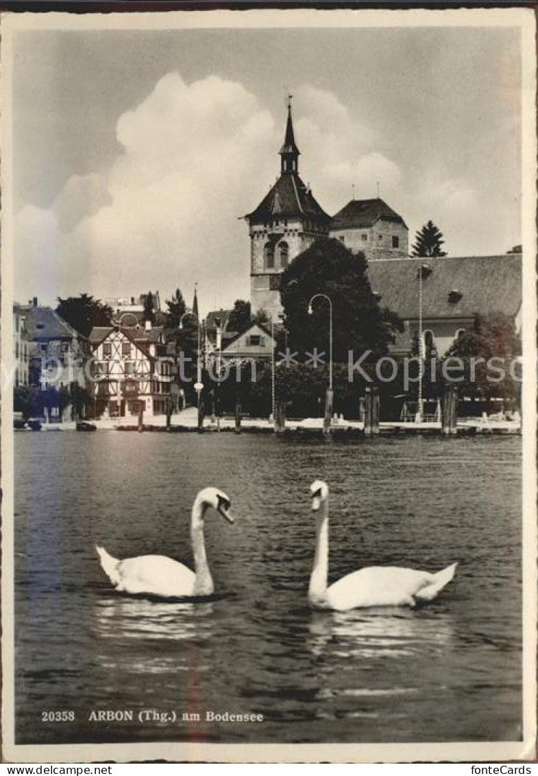 11679042 Arbon  TG Am Bodensee Schwan Kirche  - Other & Unclassified