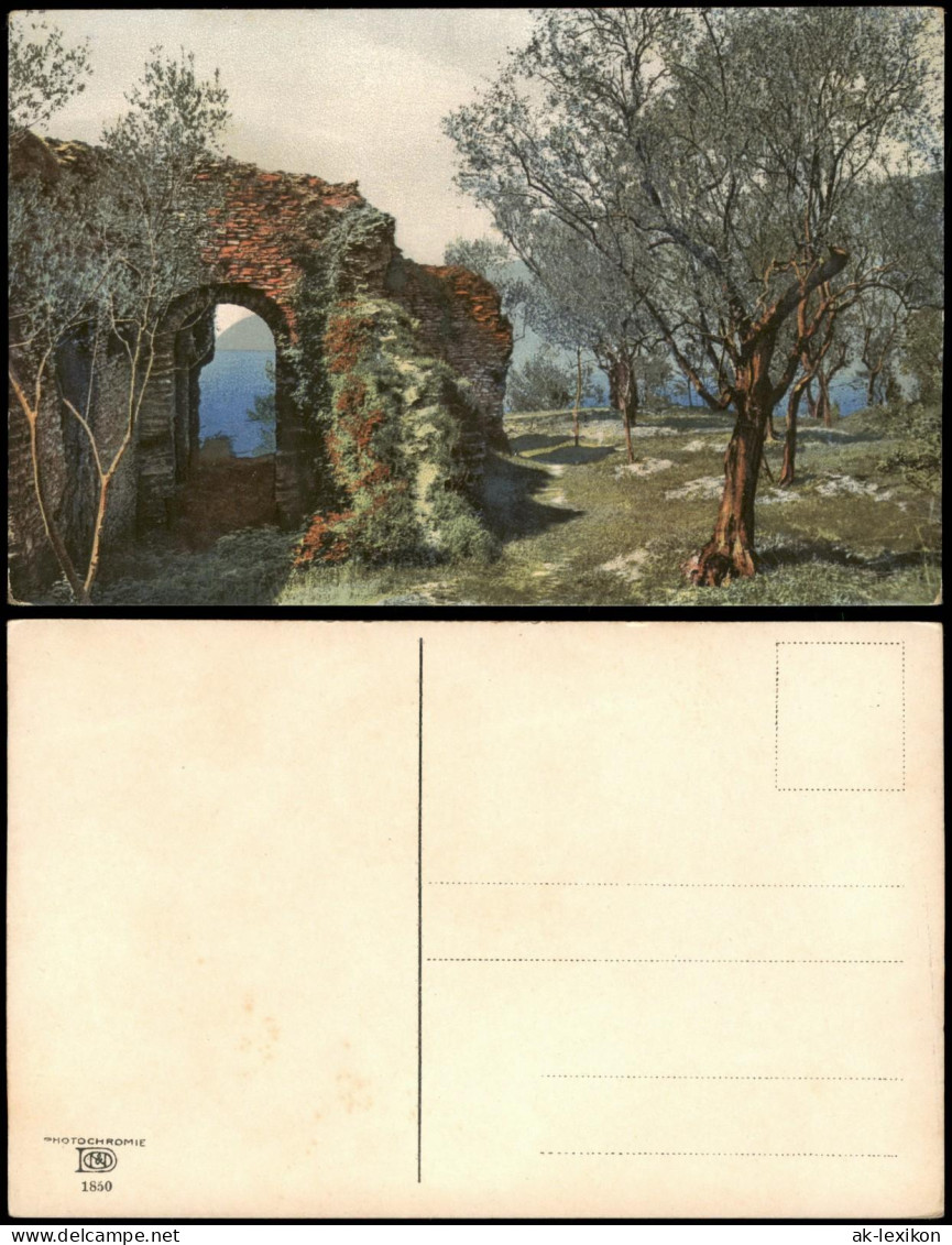 Ansichtskarte  Stimmungsbild: Frühling, Ruine Baumblüte Photochromie 1912 - Other & Unclassified
