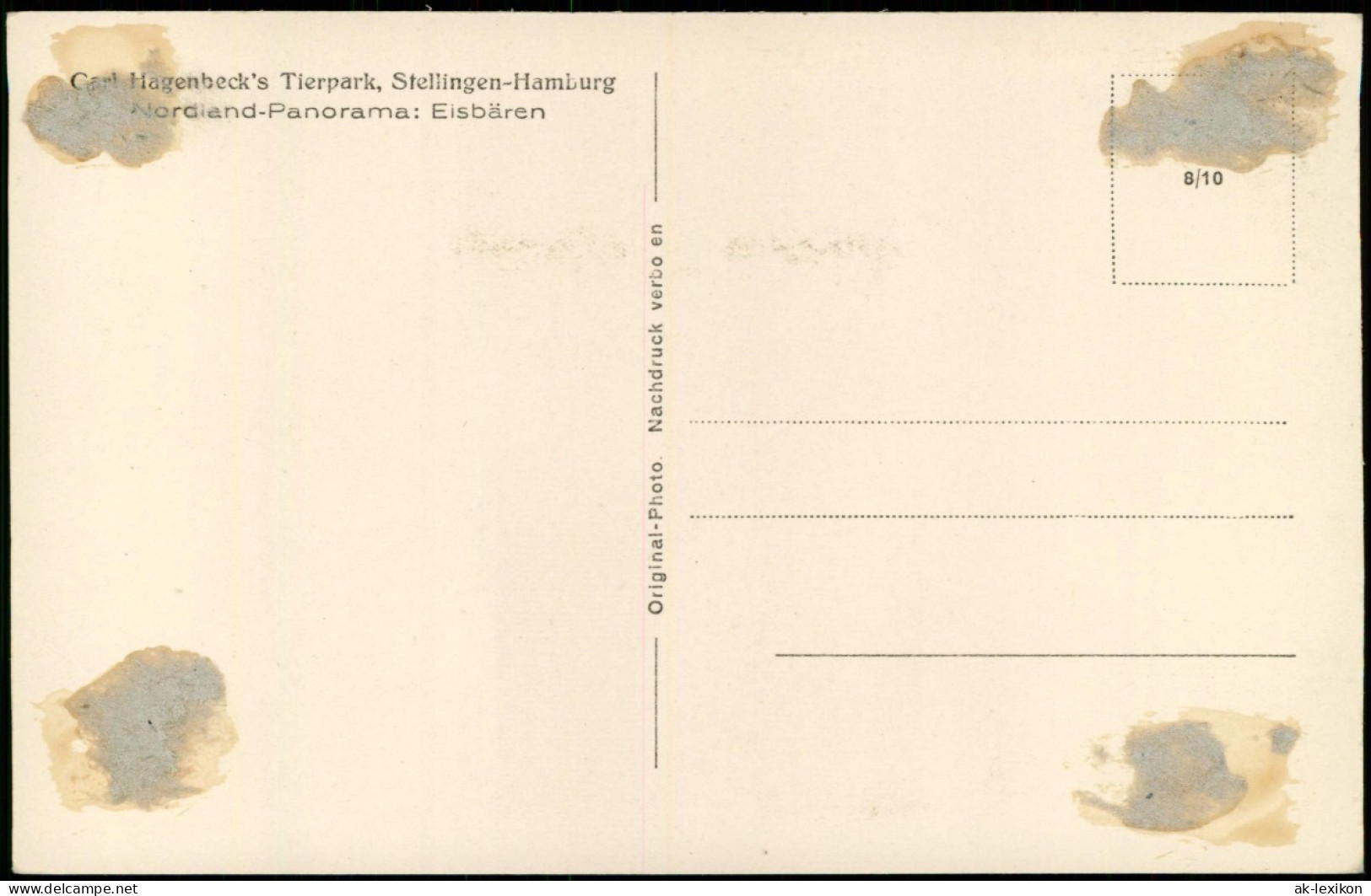 Stellingen-Hamburg Tierpark Hagenbeck Nordland-Panorama: Eisbären 1932 - Stellingen