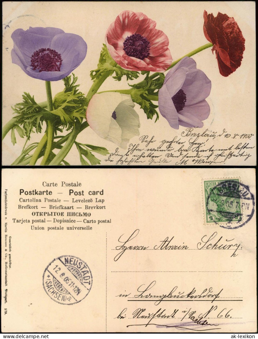 Ansichtskarte  Botanik :: Blumen U.a. Mohnblume Farblichtdruck 1905 - Autres & Non Classés