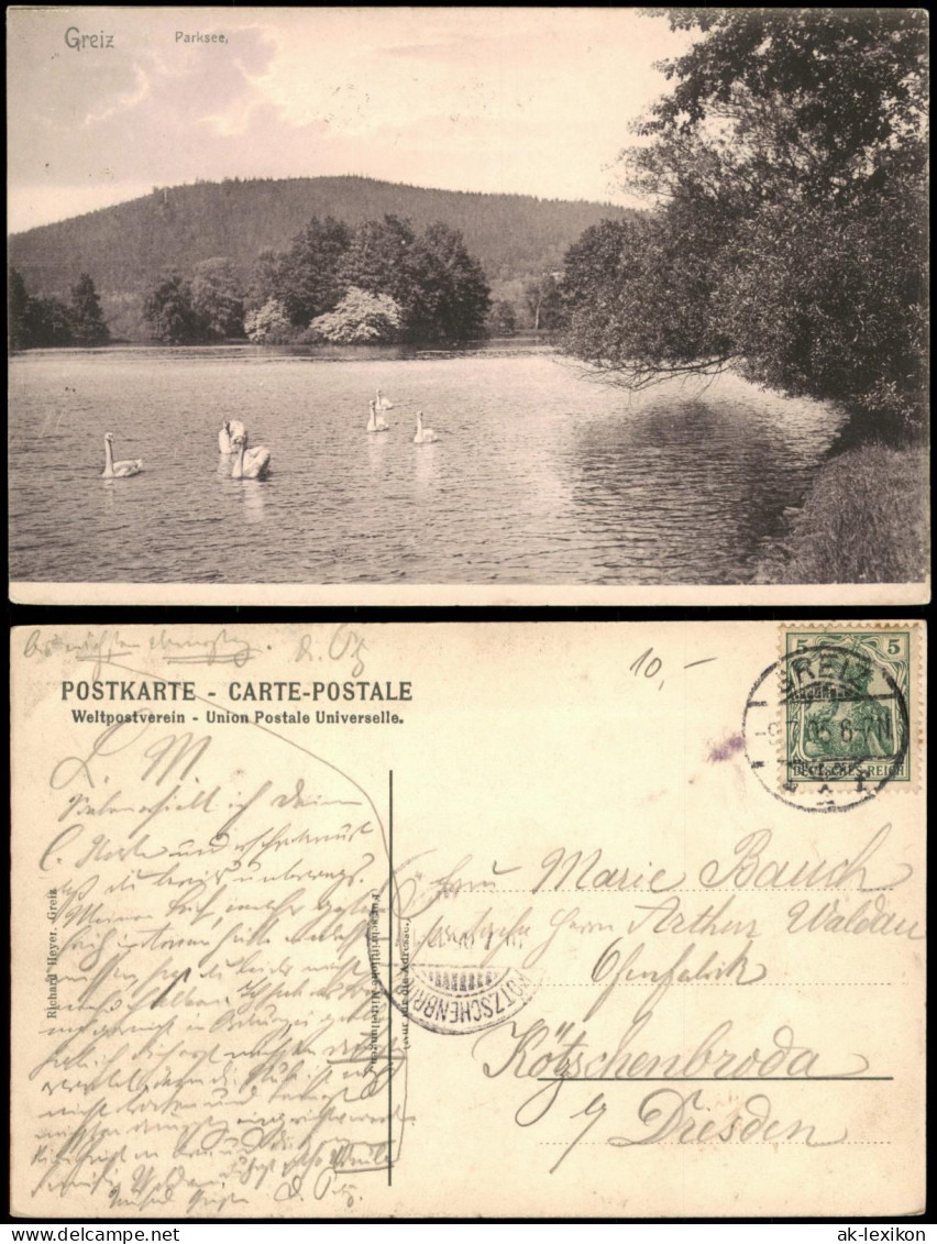 Ansichtskarte Greiz Parksee - Schwäne 1905 - Greiz