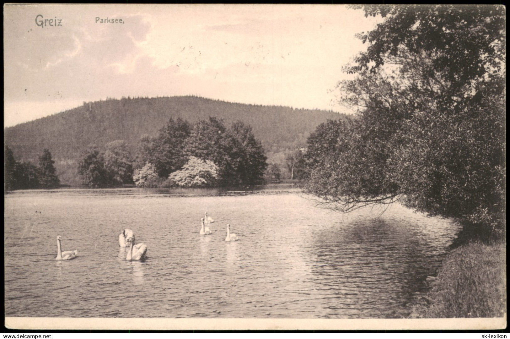 Ansichtskarte Greiz Parksee - Schwäne 1905 - Greiz