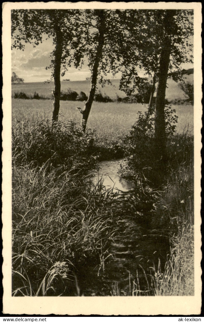 Ansichtskarte  Stimmungsbilder: Natur Wiesenbächlein 1943 - Non Classificati