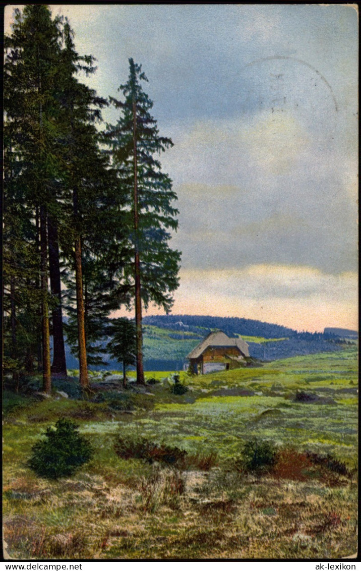 Ansichtskarte  Stimmungsbilder: Natur Hütte Am Waldesrand Photochromie 1913 - Non Classés