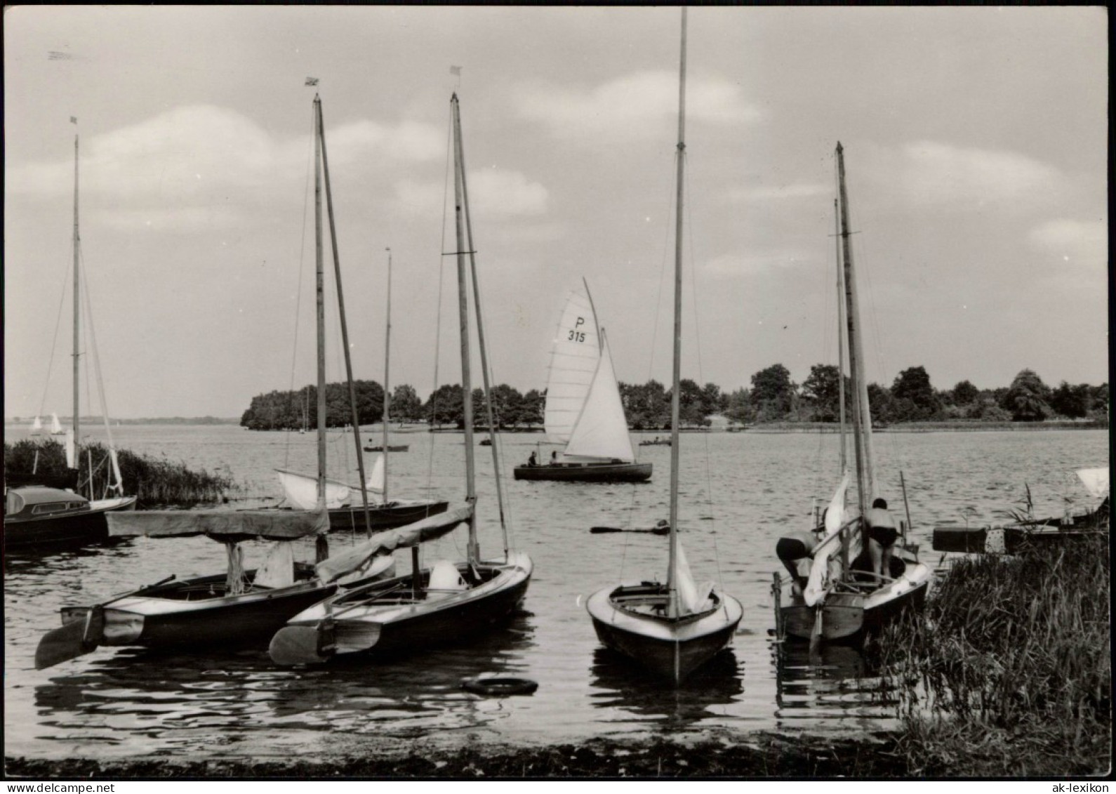 Ansichtskarte Malchow (Mecklenburg) Fleesensee Zur DDR Zeit, Segelboote 1967 - Autres & Non Classés