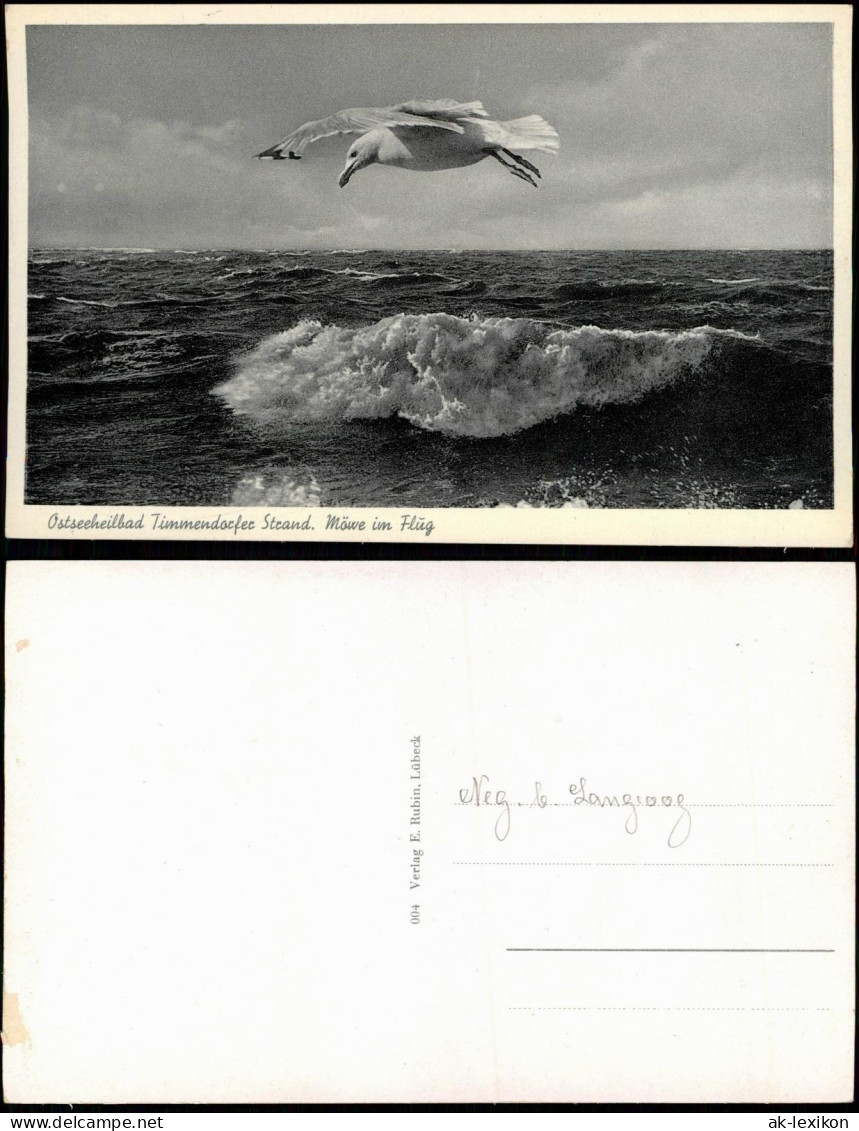 Ansichtskarte Ostseeheilbad Timmendorfer Strand - Möwe Im Flug 1930 - Cuxhaven