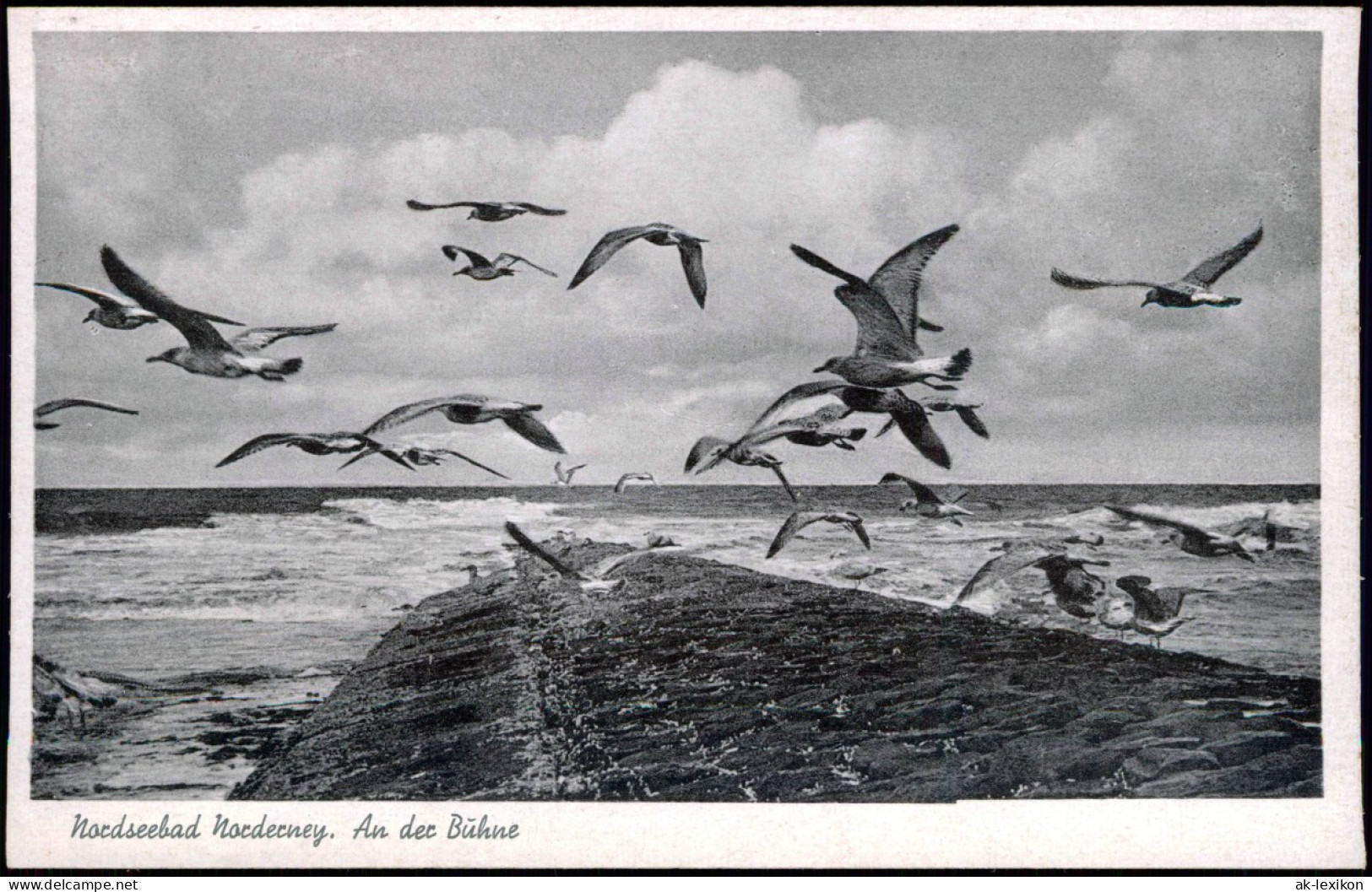 Ansichtskarte Norderney Möwen über Der Buhne 1939 - Norderney