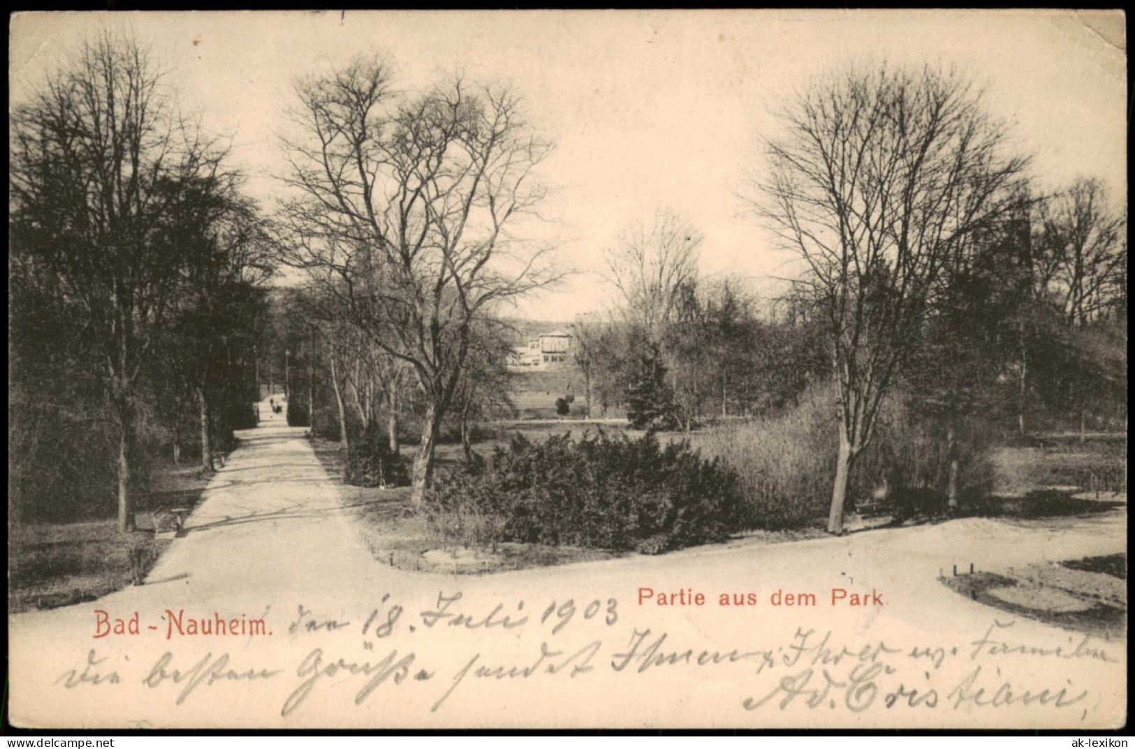 Ansichtskarte Bad Nauheim Partie  Im Park 1903  Ankunftsstempel Sachsenhausen - Bad Nauheim