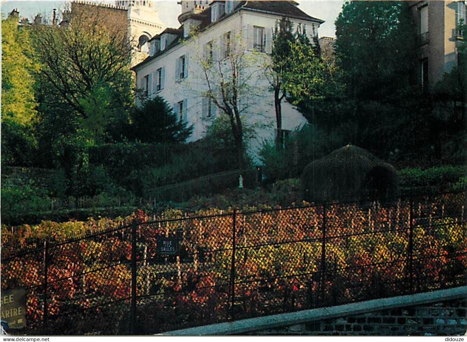 Vignes - Paris - Les Vignes De Montmartre - CPM - Voir Scans Recto-Verso - Wijnbouw