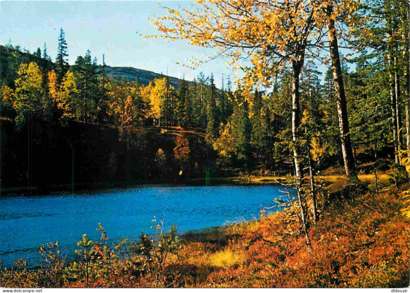 Finlande - Suonnen Lappi - Finnish Lapland - Suomi - Finland - CPM - Voir Scans Recto-Verso - Finland