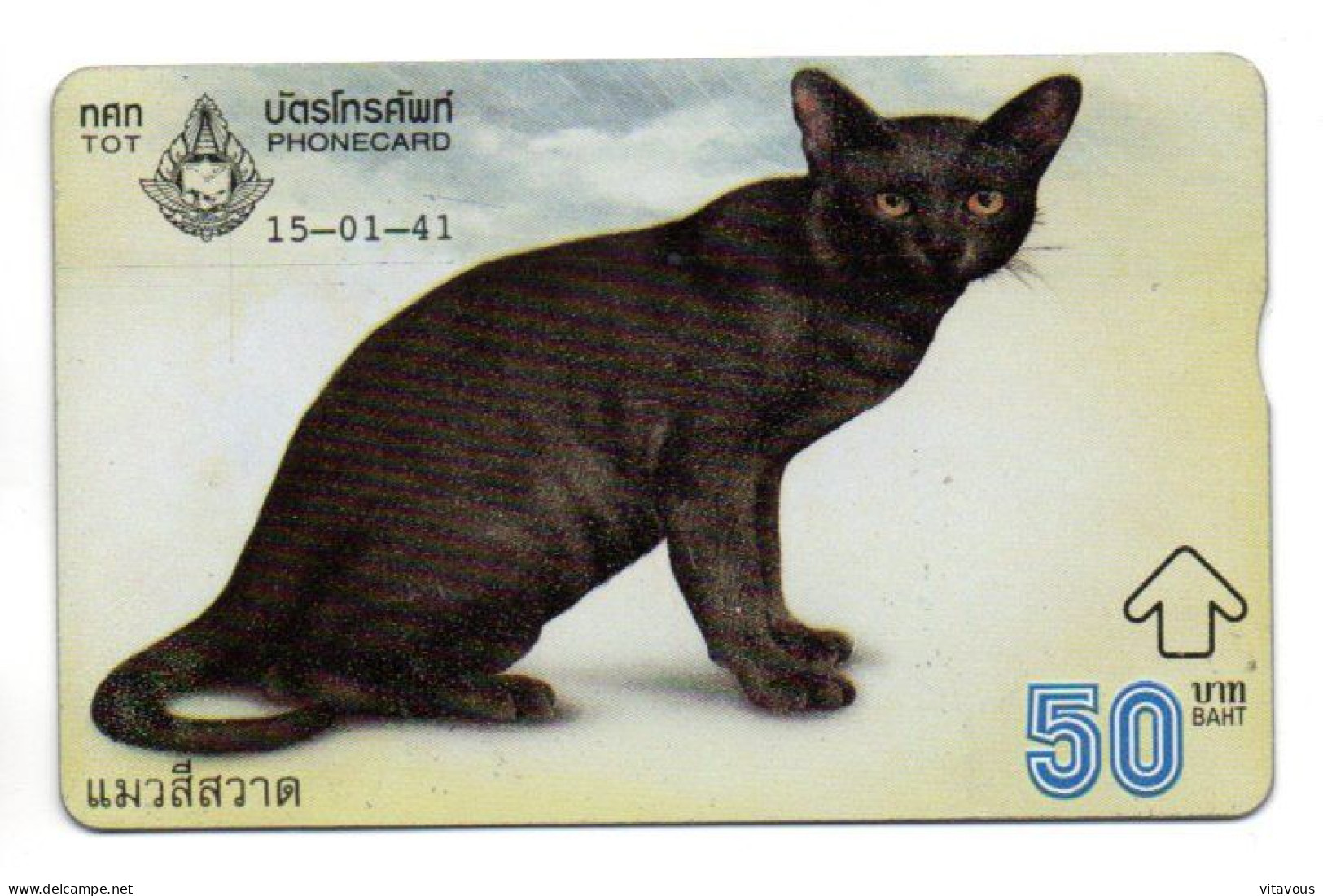 Chat Cat Animal  Carte Thaïlande Card (K 335) - Thaïlande