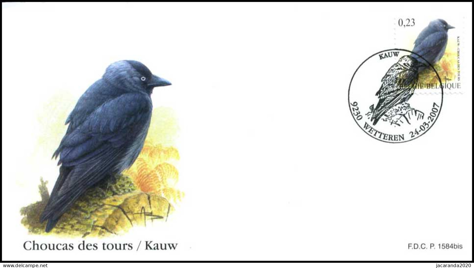 3625 - FDC - André Buzin : Kauw P1584bis - 2001-2010