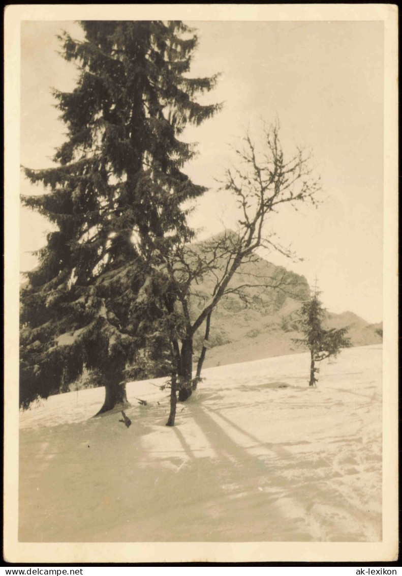 Ansichtskarte  Winter-Ansichtskarte (Schnee/Eis) Stimmungsbild 1955 - Unclassified