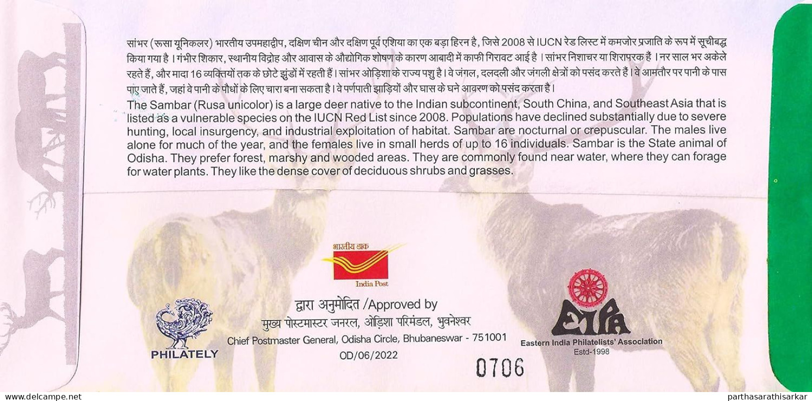 INDIA 2022 SAMBAR THE STATE ANIMAL OF ODISHA SPECIAL COVER RELIESED BY INDIA POST USED RARE - Covers & Documents
