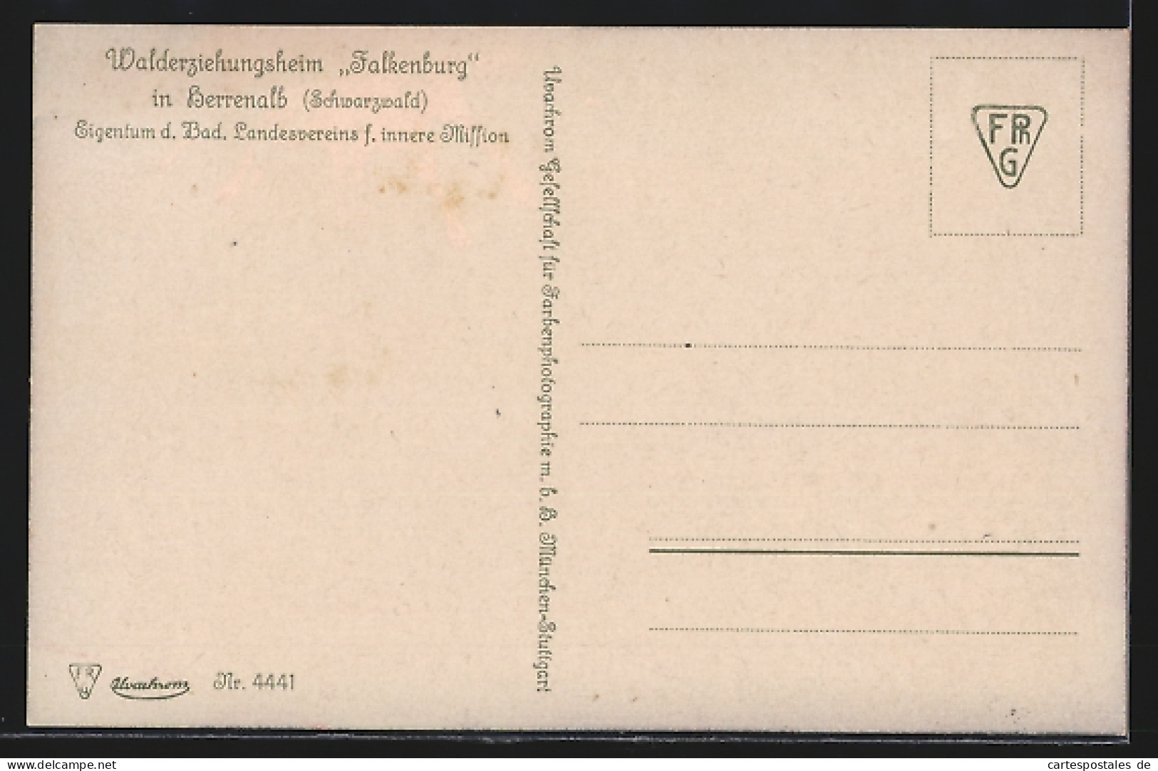 AK Herrenalb /Schwarzwald, Walderziehungsheim Falkenburg  - Bad Herrenalb