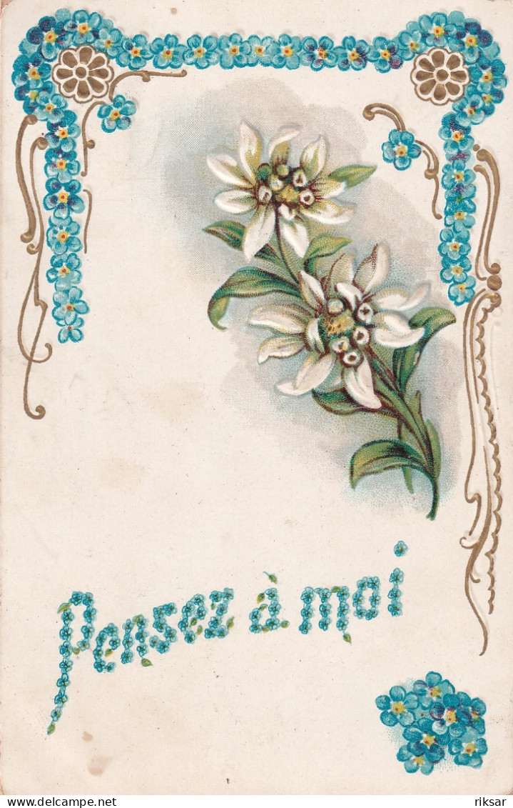 FANTAISIE(CARTE GAUFREE) FLEUR - Sint Catharina